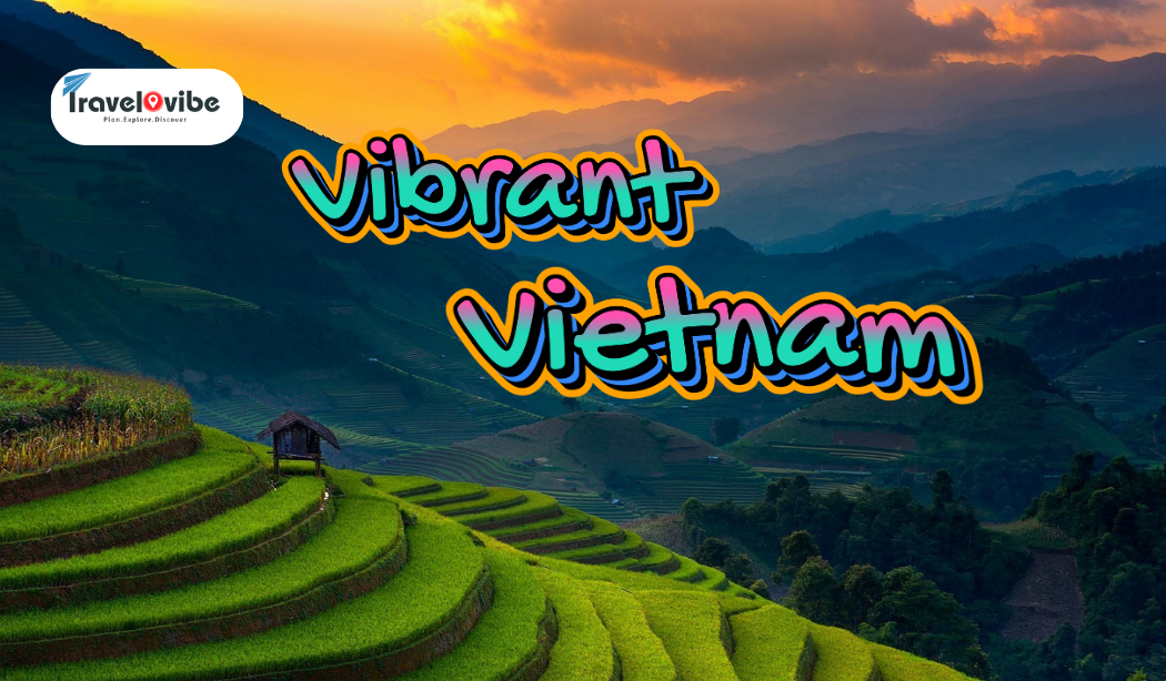 1723212720_vietnam 3.png